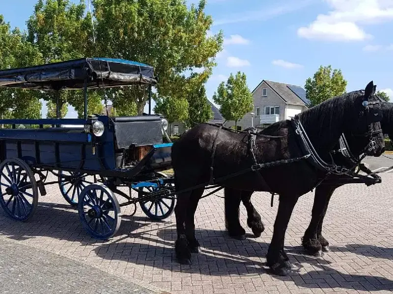 Carro cubierto privado Weerribben