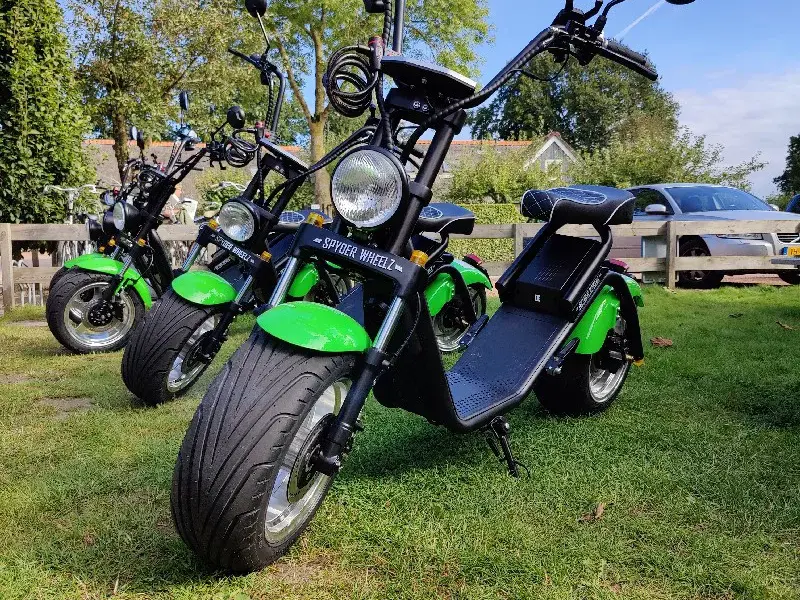 Weerribben Chopper Pomeriggio