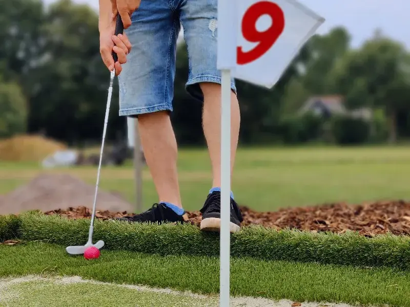 Weerribben Chopper & Vertier